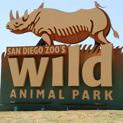 Wild Animal Park